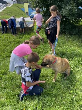 Razigrano ravensko poletje ŽIVE OBLIKE (11)